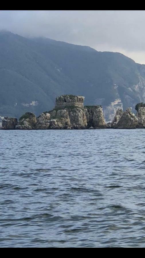 Rosy Monolocale Nel Centro Storico Di Torre Annunziata Di Fronte Scavi Oplonti 아파트 외부 사진